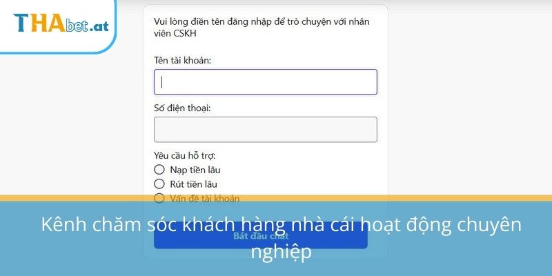 Kênh chăm sóc khách hàng nhà cái hoạt động chuyên nghiệp
